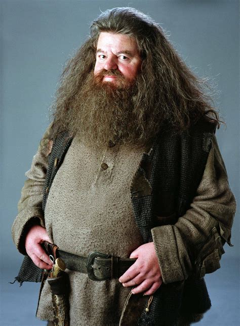 Hagrid, the gentle soul. | Harry potter characters, Harry potter cast ...