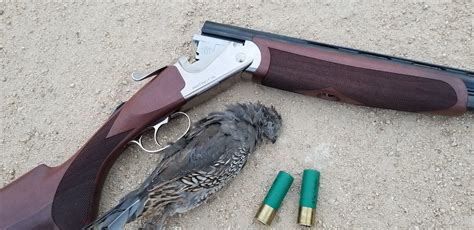 16 Inch Guns 的图像结果