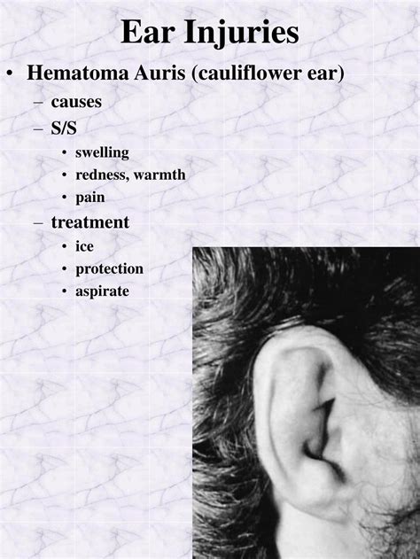 PPT - Athletic Injuries ATC 222 Head, Face, Eyes, Ears, Nose, and Throat Chapter 27 PowerPoint ...