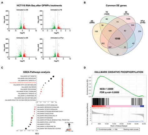 Transcriptomic Analysis of Colorectal Cancer Cells Treated with Oil ...
