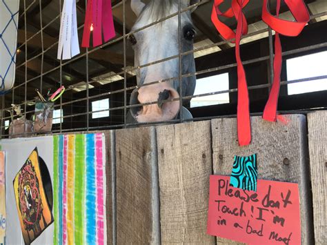 PHOTOS: Athens County Fair 2017 - WOUB Public Media
