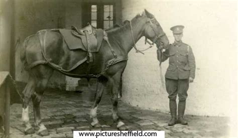 Searching Picture Sheffield