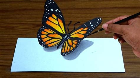 butterfly drawing 3d