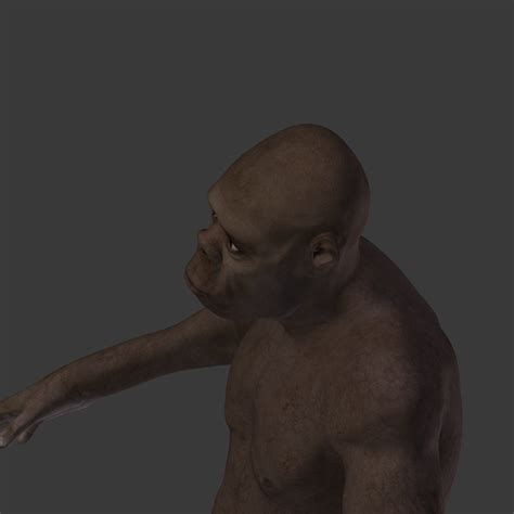 Image result for Australopithecus Simulation