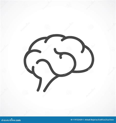 Brain Outline