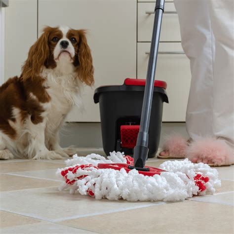 Best Way To Mop Porcelain Tile Floors at Milla Levi blog