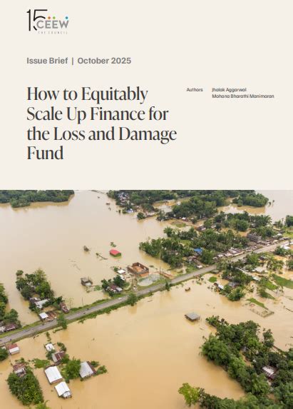 What is Cover Crops & Mulching in India? CEEW Research