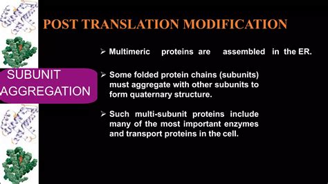 Most Common Post Translation Modification of Protein 的图像结果