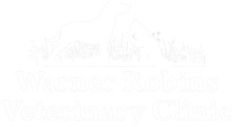 Warner Robins Veterinary Clinic in Warner Robins, GA | Vet Care