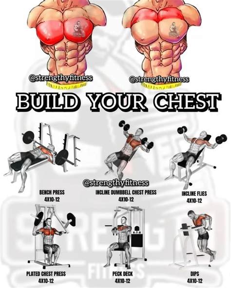 Chest Development Workout 的图像结果