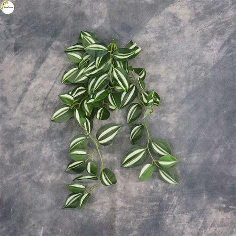 GREEN LEAF – Varai Stores Bangalore Rental