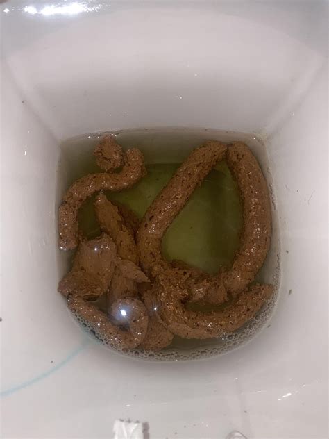 Is this pencil thin? : r/poop