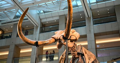 Image result for Extinct Animals Revival