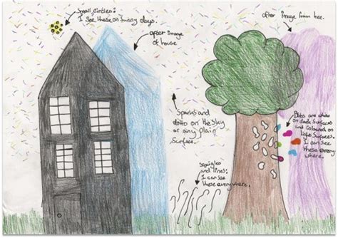 Image result for Visual Snow Simulator