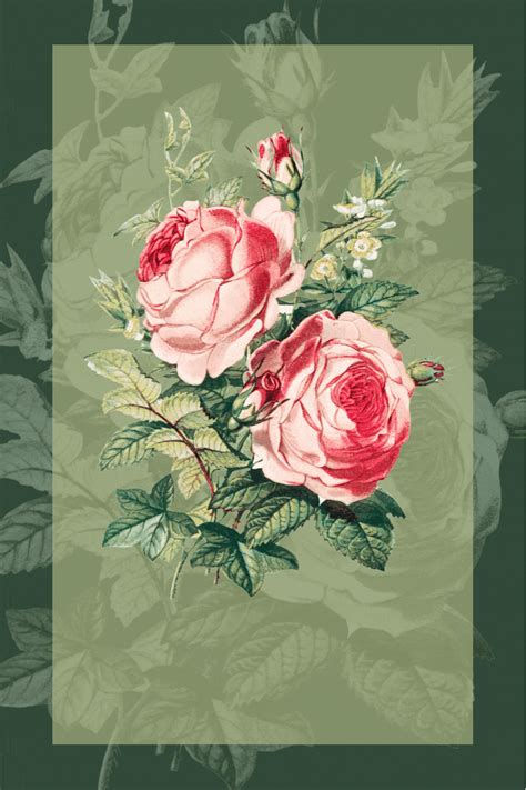botanical illustration certificate online