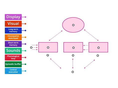 Image result for Working Memory Model Explained