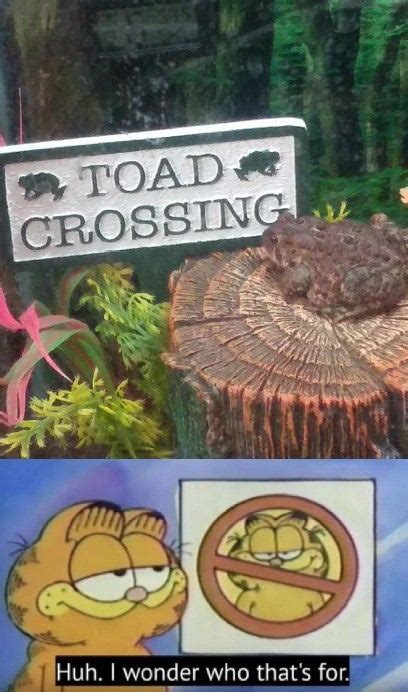 Image result for Toad Rage Meme