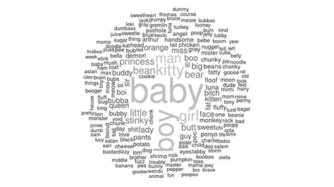 I made a word cloud of cat nicknames : r/cats