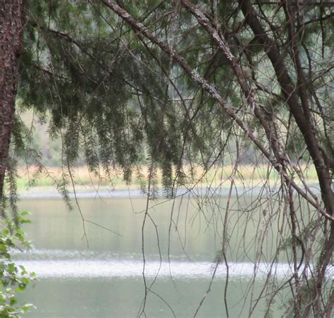 ROUND LAKE STATE PARK (2025) All You Need to Know BEFORE You Go (with ...