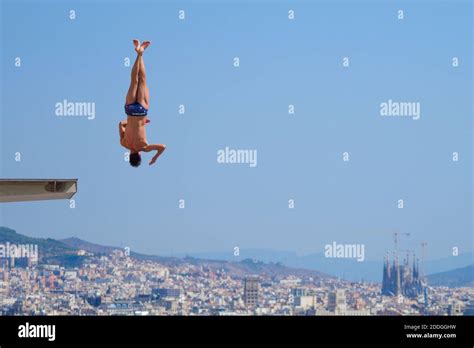 Image result for Platform Diving Event