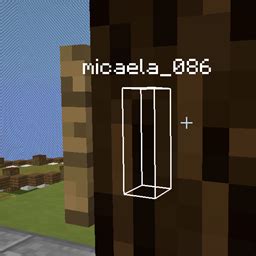 Image result for ESP Minecraft Hack