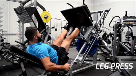 Leg Press Machine Exercise 的图像结果