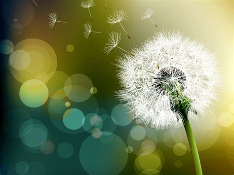 Dandelion Root, A Cancer Cell Killer, Has A Long History As Medicine – Healing the Body