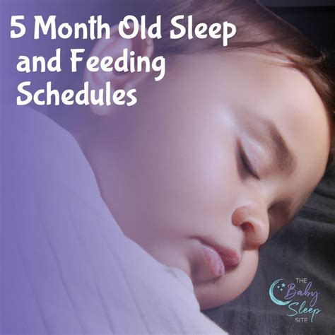 6 Month Old Sleep Schedule Tips + Sample