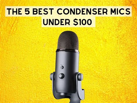 Best music recording on sale microphone under 100