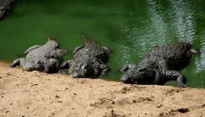 Honeymoon Places In Andaman Couples Should Visit In 2023