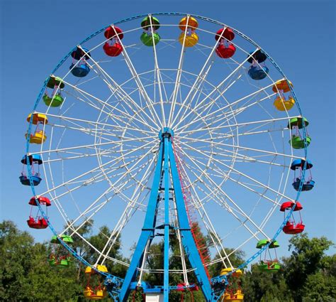 Image result for Circular Motion Examples