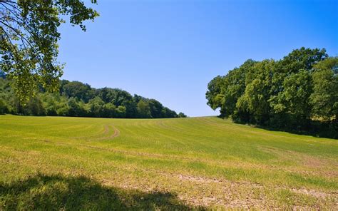 Download wallpaper 3840x2400 field, grass, trees, sky, landscape 4k ...