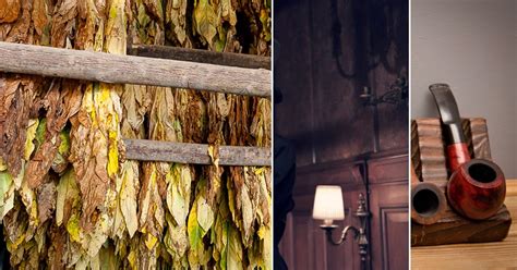 Image result for Pipe Smoking Tips