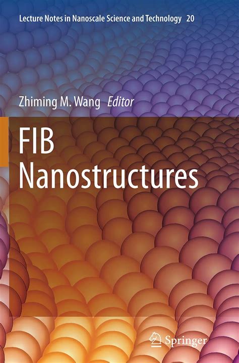 FIB Nanostructures: 20 (Lecture Notes in Nanoscale Science and ...