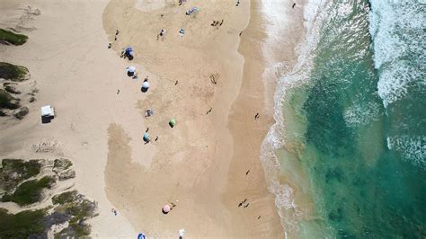 Cape St Francis- Dreaming Out Loud Featuring Neon Dreams, Ross ...
