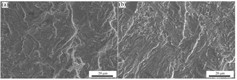 Microstructure and Mechanical Properties of Ti-6Al-4V Additively ...