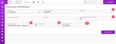 Verify Insurance Examples 的图像结果