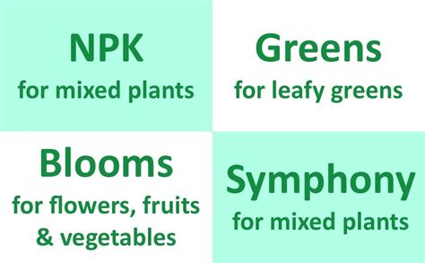 City Greens Advance Hydroponic Nutrients For Different Stages Of Plants ...