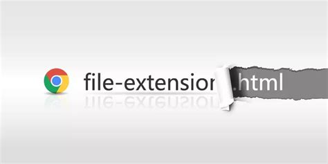 File Extension Options 的图像结果