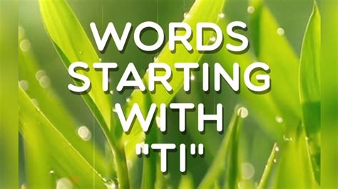 Words starting with 'Ti', Level 226, Word Crush Answers, 4k. - YouTube