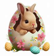 Image result for Easter Bunny Cartoon Man
