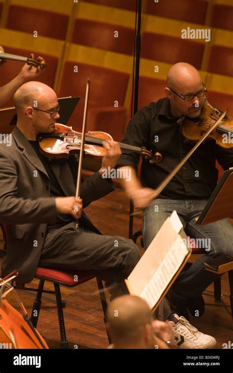 String Orchestra 的图像结果