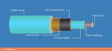Image result for 1-Wire O2 Sensor Test
