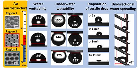 Scientists develop gold microstructure substrate with tunable ...
