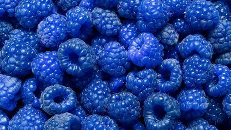 Image result for Blue Raspberry Color
