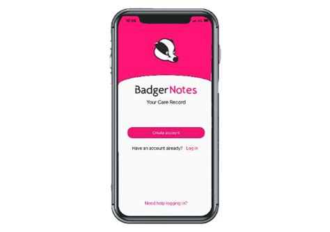 Image result for BadgerNet Script to Access Notes