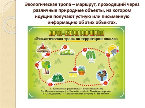 Экологическая тропа на территории школы - презентация онлайн