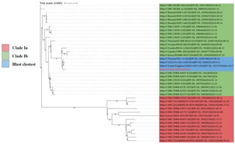 Complete Genome Sequence Analysis of the First Imported Mpox Virus ...