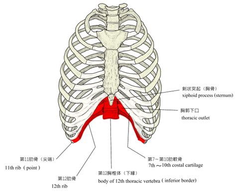 Image result for Structures of Pattern