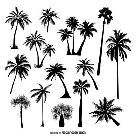 Image result for Simple Palm Tree Drawing